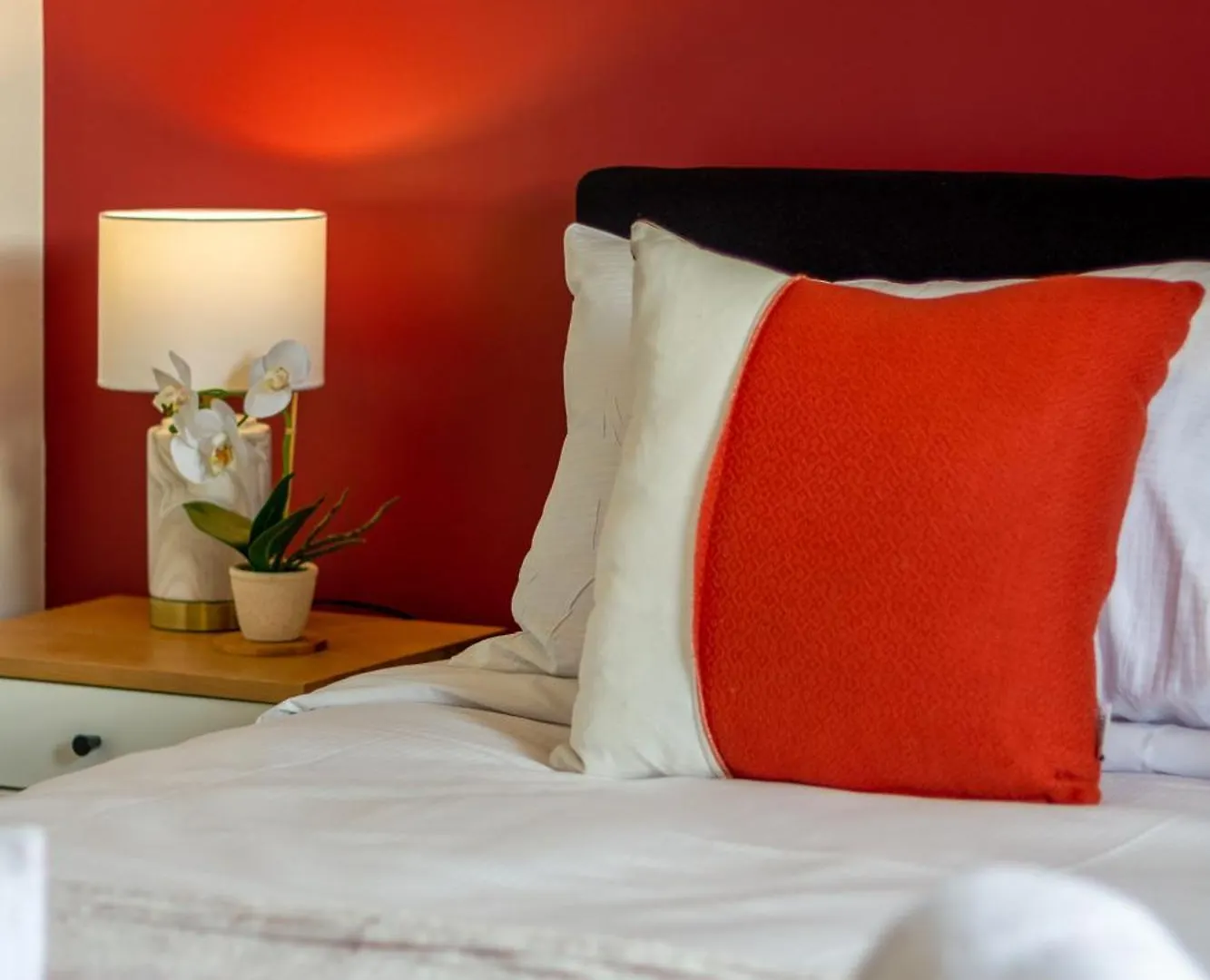 Cbd Luxury Homes Near Cafes Hagley Park River Christchurch